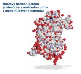 Molekuly lidského růstového hormonu
