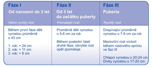 Fáze normálního růstu