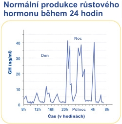 Role růstového hormonu